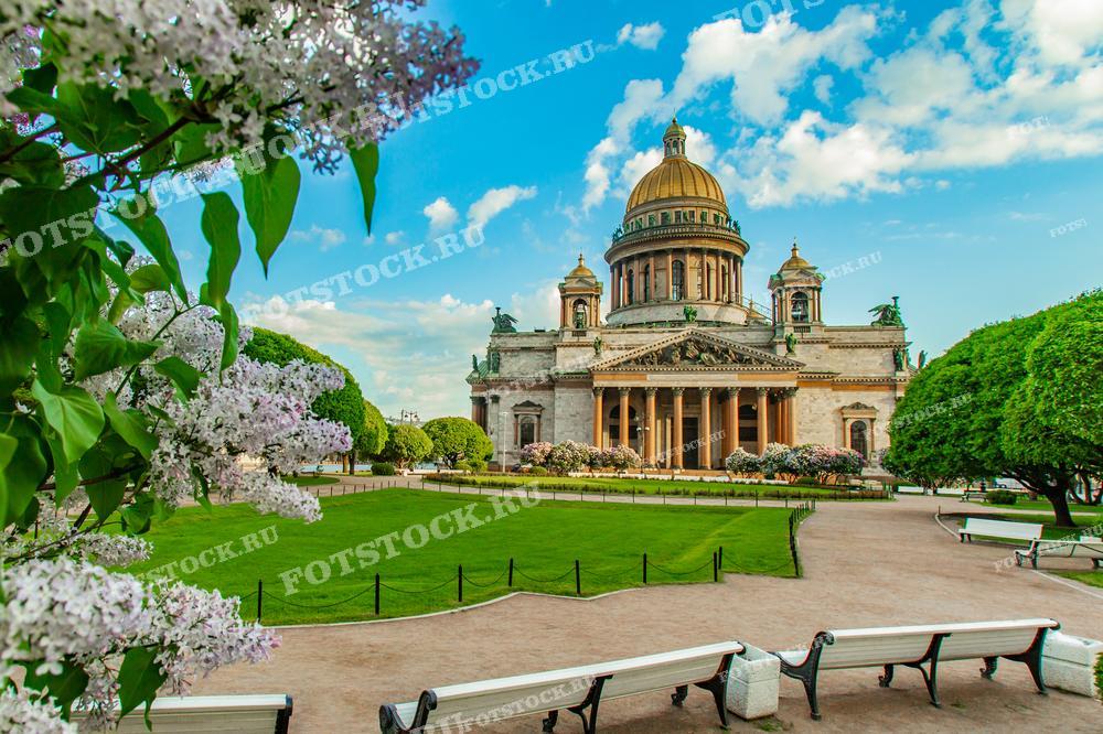 На фотографии изображен Исаакиевский собор в Санкт-Петербурге весной. Вокруг собора распускаются сирени и зеленеют деревья, создавая живописную атмосферу. Голубое небо с редкими облаками подчеркивает красоту архитектуры. Парк вокруг собора привлекает горожан и туристов своими цветущими садами.